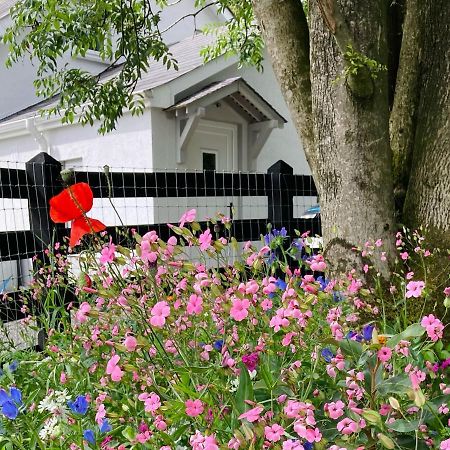 Beech Tree Cottage Glenwherry Εξωτερικό φωτογραφία