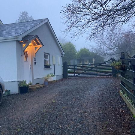 Beech Tree Cottage Glenwherry Εξωτερικό φωτογραφία