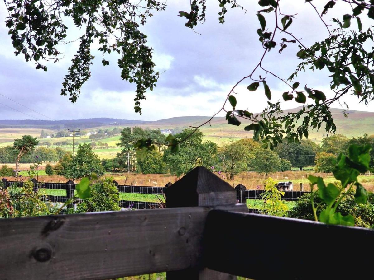 Beech Tree Cottage Glenwherry Εξωτερικό φωτογραφία