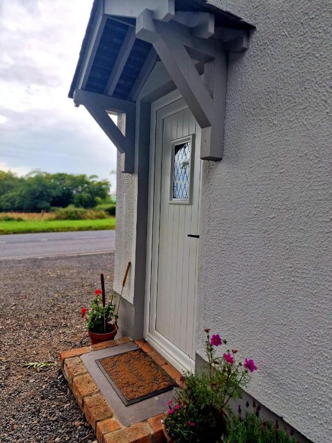Beech Tree Cottage Glenwherry Εξωτερικό φωτογραφία
