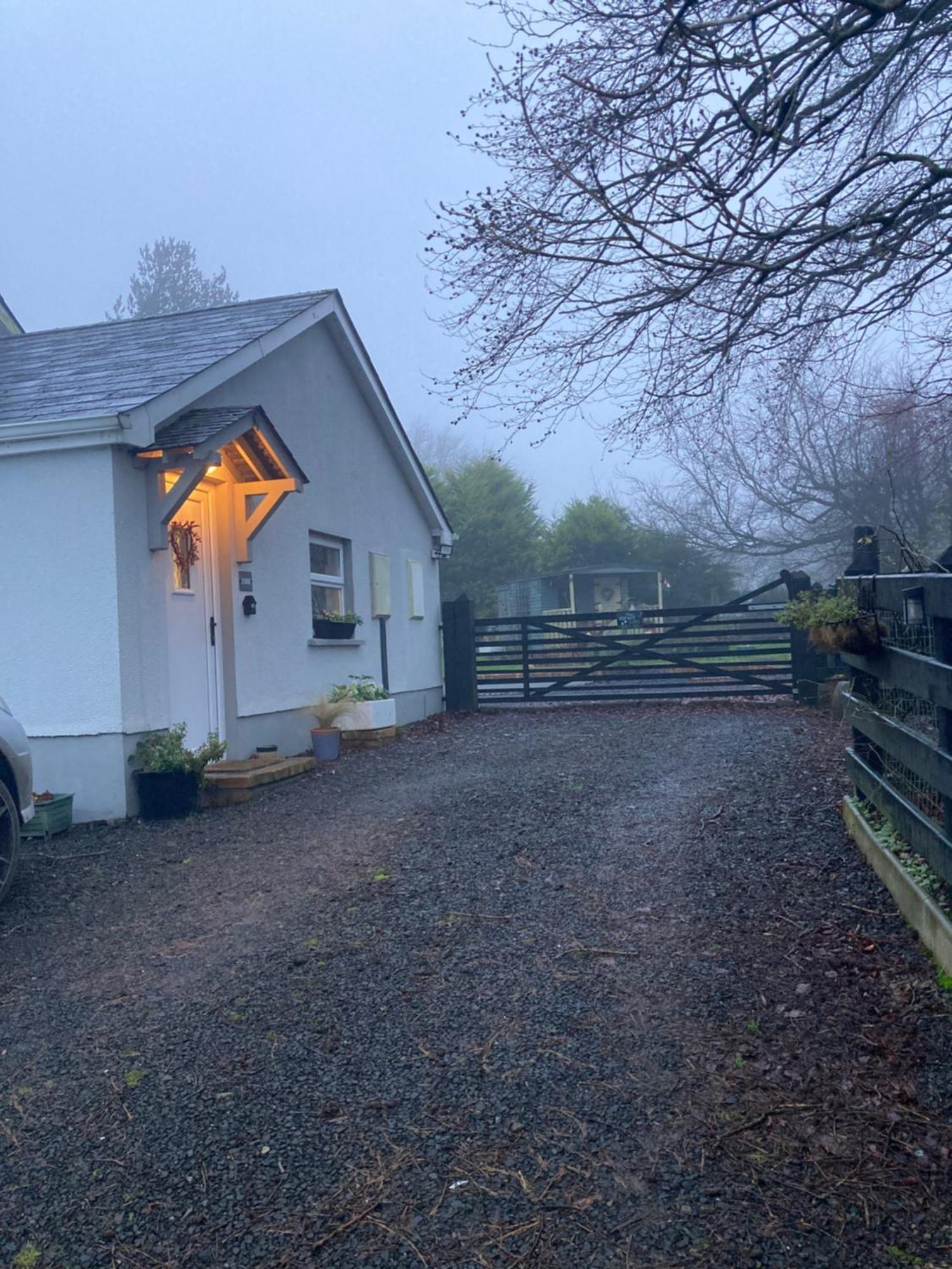 Beech Tree Cottage Glenwherry Εξωτερικό φωτογραφία